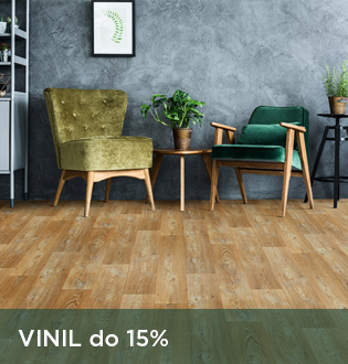 Vinil