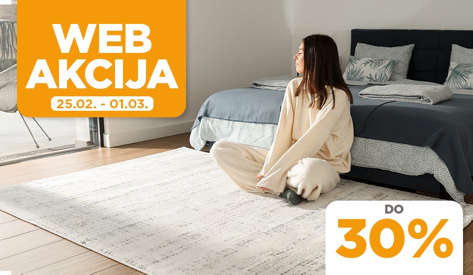 Web akcija - februar 2026