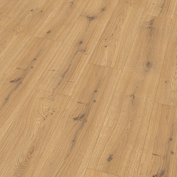 Hrast Predaia El2009