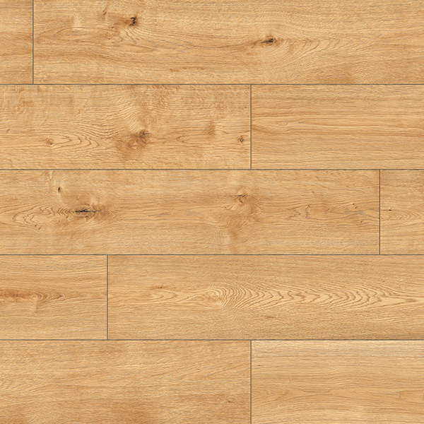 SPC Ceramin Pro Nature Camac 