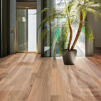 Hrast Baron Rustik XL 1.000