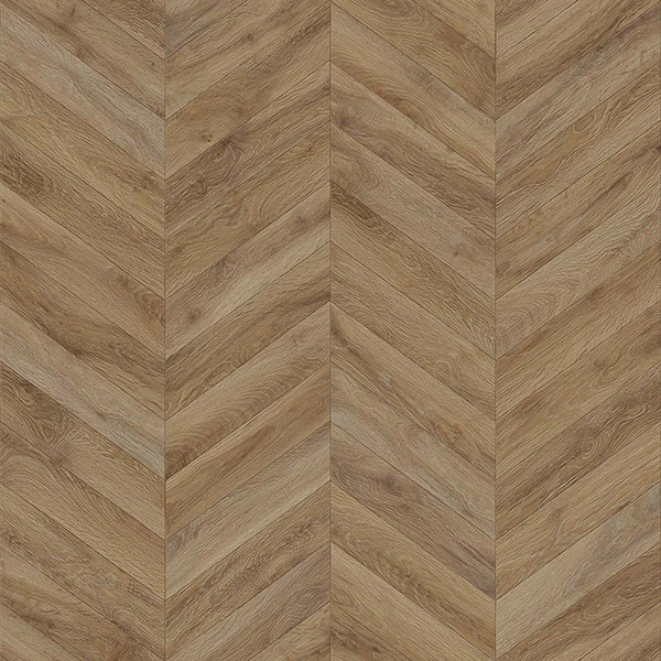 Vinil Evolution Chevron GP 5