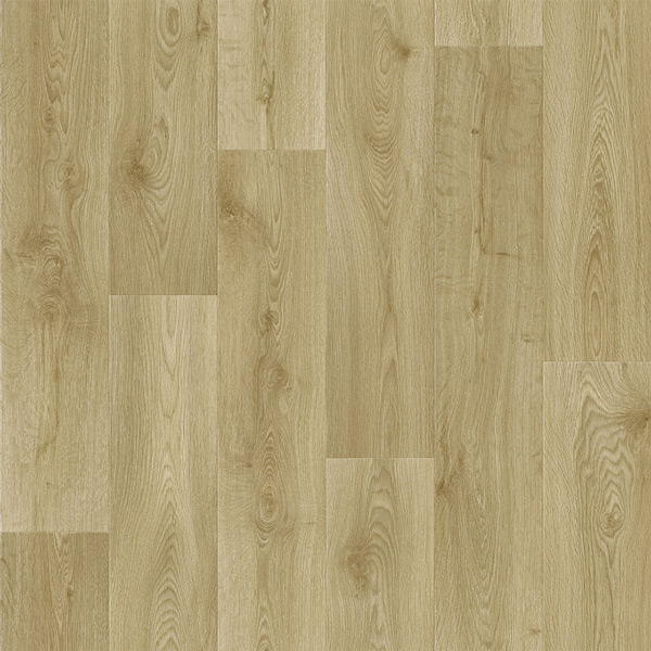 Vinil Eruption S Caspian 5