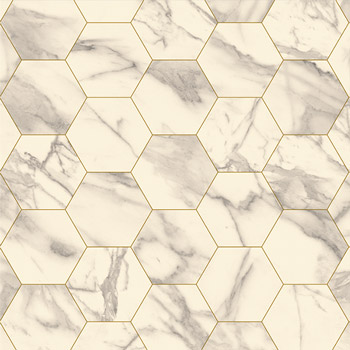 Marble Bianco Hexagon Gold